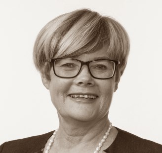 Kristin Ørmen Johnsen, Stortingsrepresentant Høyre
